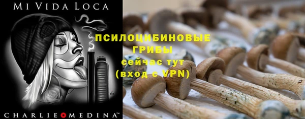 амф Володарск