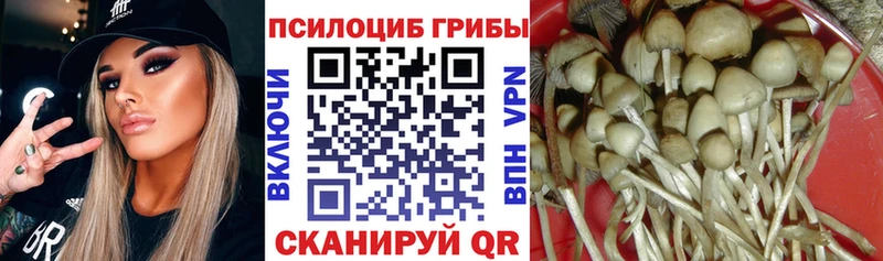 Псилоцибиновые грибы Magic Shrooms  Купить где  Кстово 